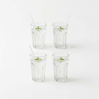 Brown bear - Vector graphics