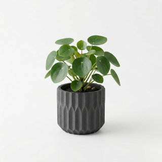 Pot pour plante 18cm Gaërlo