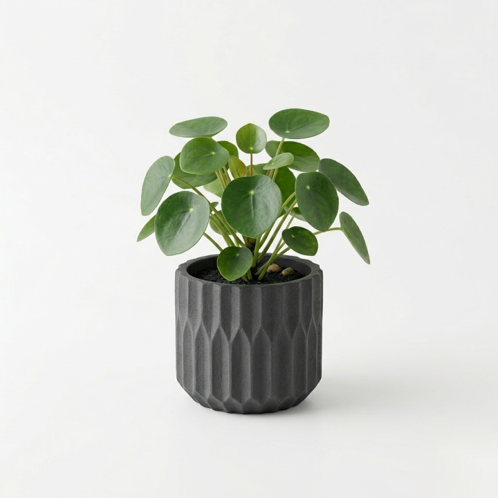 Pot pour plante 18cm Gaërlo